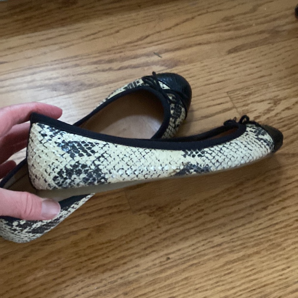 Versatile flats - Picture 6 of 6